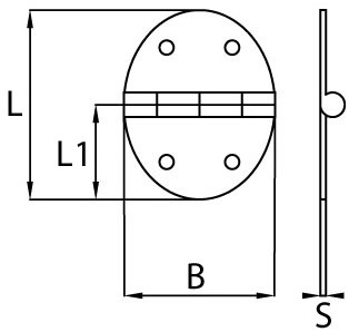 Boat Vision Scharnier L67 x B48 x 2.0 mm./A2-304-2