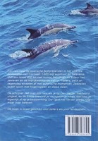 Verzeilsels - Een avontuurlijke zeilreis naar de exotische Scilly eilanden - Andre Rotteveel-2