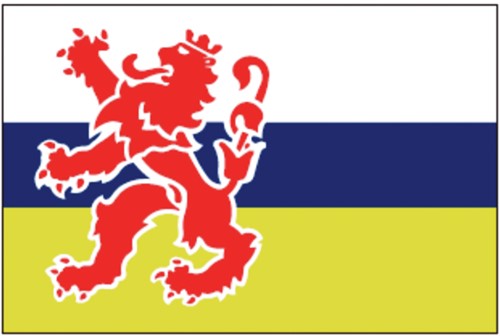 Talamex   Vlag Limburg 20x30